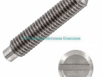 Винт М12х12 DIN 417 14Н (ГОСТ 1478-93) с цапфой - Единая Метизная Компания город Екатеринбург